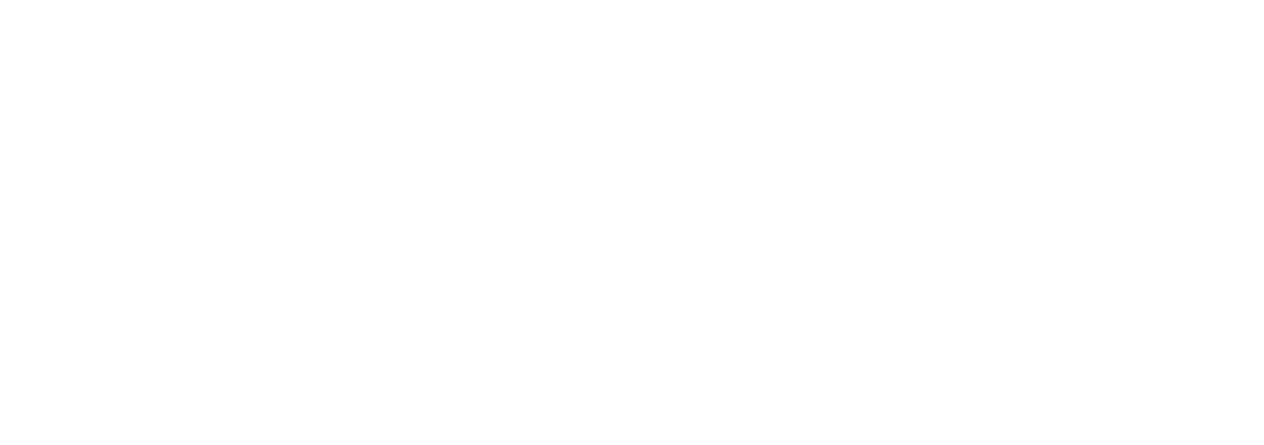Hell Let Loose Vietnam logo